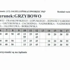 Kołobrzeg-Grzybowo: Autobus, rower, auto? Porównaj i wybierz!