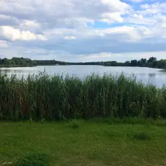 Spokojne jezioro z trzcinami na brzegu, idealne na letni budzyń.