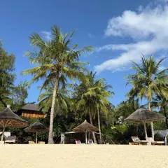 Rajskie plaże Zanzibaru: palmy, leżaki i słońce. Idealne miejsce na wymarzone wakacje. Wiza zanzibar czeka!