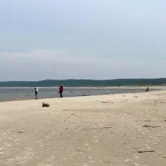 Spacer po piaszczystej plaży na Żuławach Wiślanych. W oddali widać las i morze.