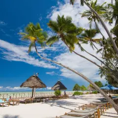 Rajska plaża z palmami, leżakami i strzechami. Idealne miejsce na relaks, zastanawiasz się, ile się leci na Zanzibar?
