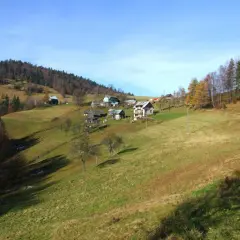 Krajobraz górski w okolicach Krynicy-Zdroju. Rozległe, zielone wzgórza z kilkoma domami i lasem na zboczu.