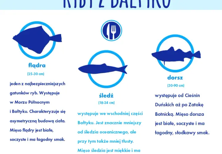 Jak wybrać rybę nad morzem? Świeże gatunki i gdzie je znaleźć