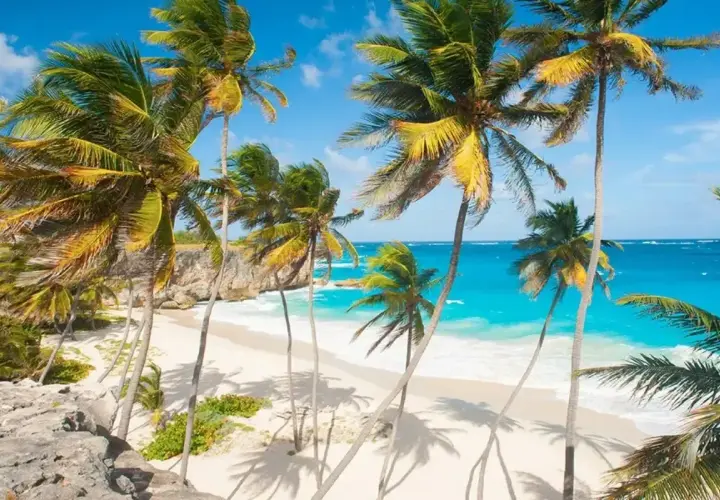 Rajskie plaże, palmy i turkusowe morze – idealne Barbados wakacje.