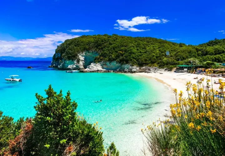Rajska plaża na Paxos i Antipaxos. Turkusowa woda, biały piasek, zielone wzgórza i żółte kwiaty tworzą idylliczny krajobraz.