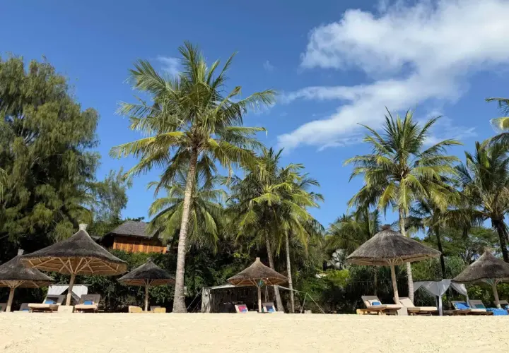 Rajskie plaże Zanzibaru: palmy, leżaki i słońce. Idealne miejsce na wymarzone wakacje. Wiza zanzibar czeka!