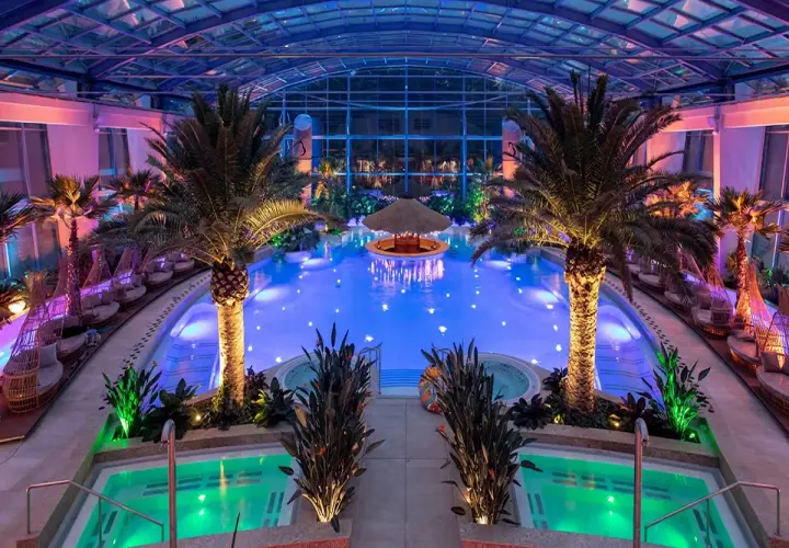 Tropikalny raj w hotelu 5 gwiazdkowym: basen z podświetlanym barem, palmy i jacuzzi.