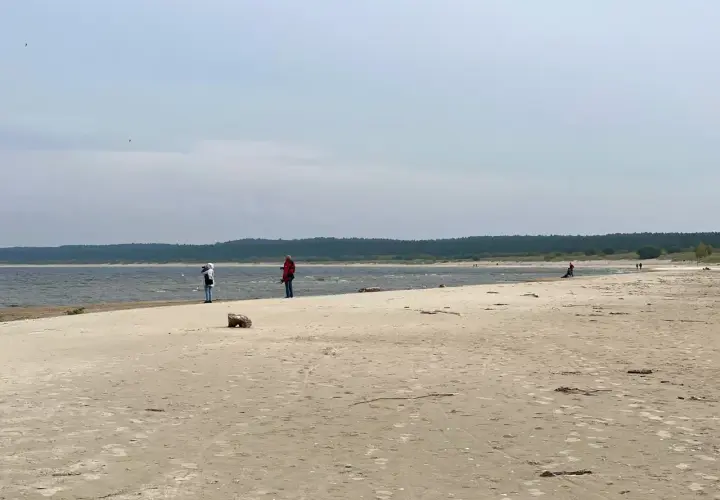 Spacer po piaszczystej plaży na Żuławach Wiślanych. W oddali widać las i morze.