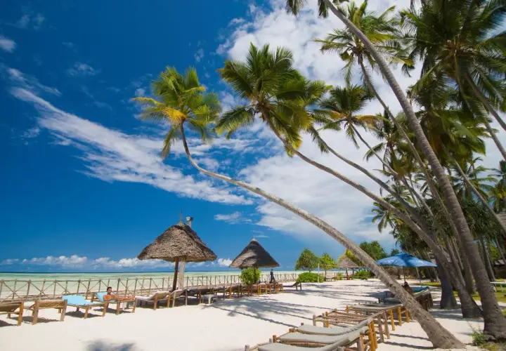 Rajska plaża z palmami, leżakami i strzechami. Idealne miejsce na relaks, zastanawiasz się, ile się leci na Zanzibar?