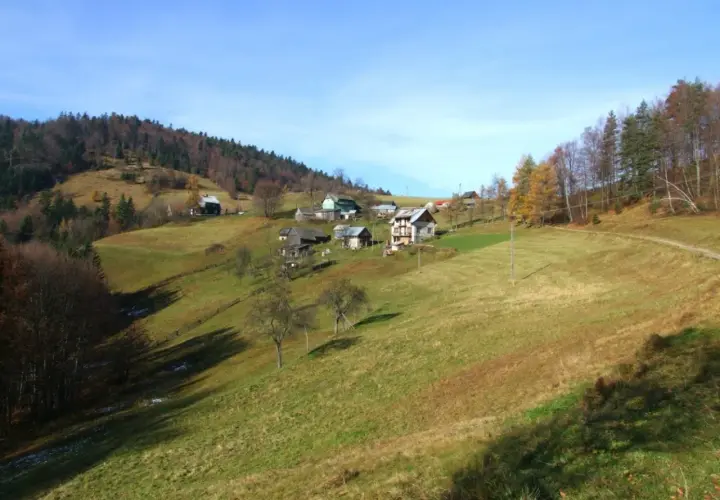 Krajobraz górski w okolicach Krynicy-Zdroju. Rozległe, zielone wzgórza z kilkoma domami i lasem na zboczu.