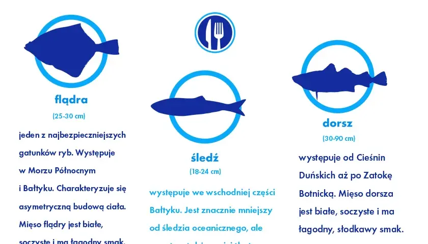 Jak wybrać rybę nad morzem? Świeże gatunki i gdzie je znaleźć