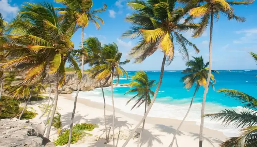 Rajskie plaże, palmy i turkusowe morze – idealne Barbados wakacje.