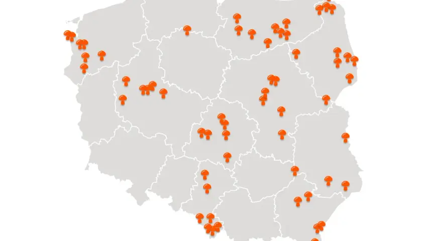 Mapa Polski z zaznaczonymi pomarańczowymi grzybami w różnych regionach.