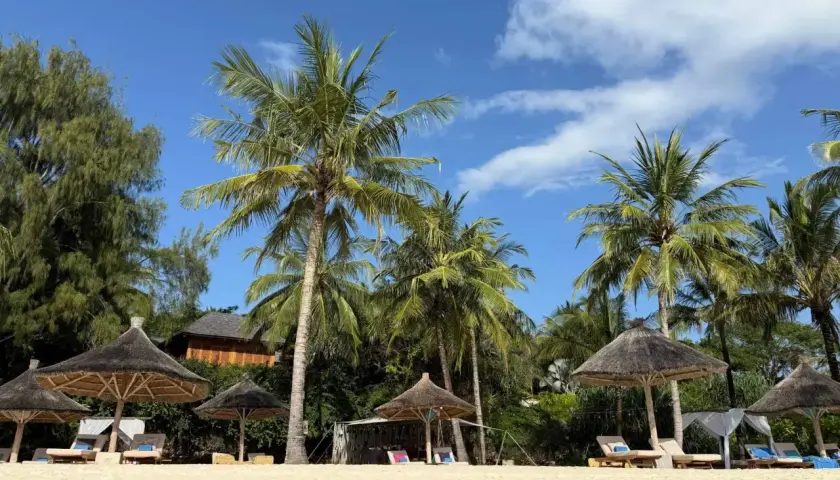 Rajskie plaże Zanzibaru: palmy, leżaki i słońce. Idealne miejsce na wymarzone wakacje. Wiza zanzibar czeka!