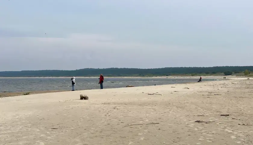 Spacer po piaszczystej plaży na Żuławach Wiślanych. W oddali widać las i morze.