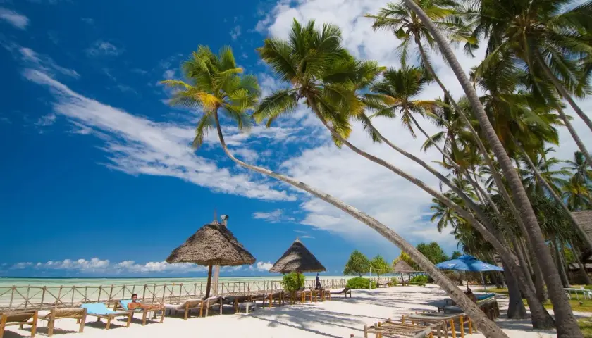 Rajska plaża z palmami, leżakami i strzechami. Idealne miejsce na relaks, zastanawiasz się, ile się leci na Zanzibar?