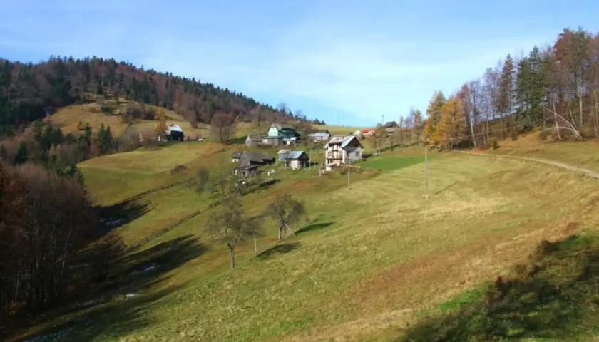 Krajobraz górski w okolicach Krynicy-Zdroju. Rozległe, zielone wzgórza z kilkoma domami i lasem na zboczu.