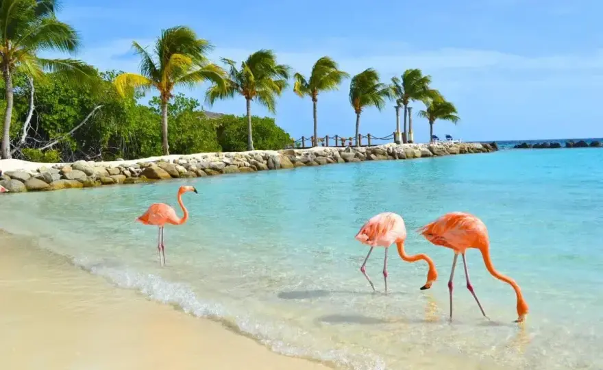 Aruba - Kiedy jechać, co zobaczyć? Kompletny przewodnik!