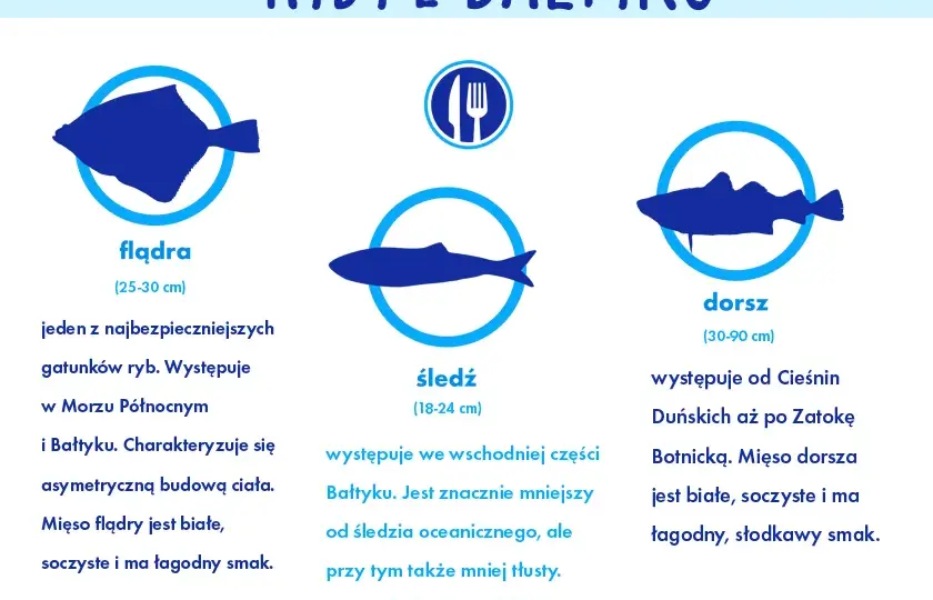 Jak wybrać rybę nad morzem? Świeże gatunki i gdzie je znaleźć