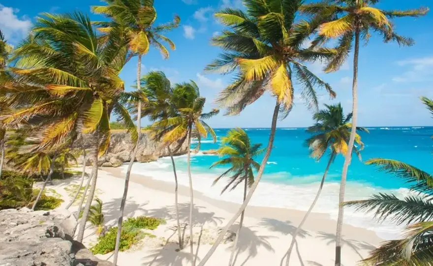 Barbados - Jak zaplanować idealny wyjazd? Poradnik