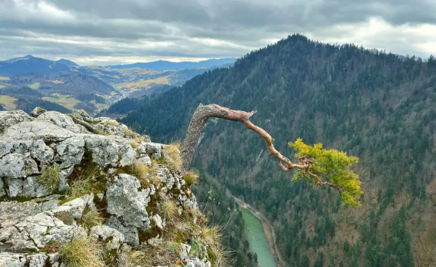 Pieniny - jak zaplanować wyjazd? Szlaki, błędy, porady.