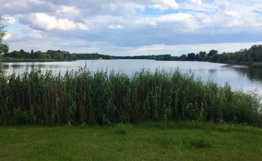 Budzyń - Co zobaczyć? Spokojny weekend blisko natury
