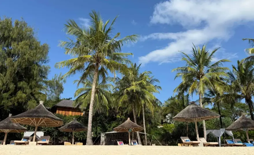 Wiza na Zanzibar - Jak ją zdobyć bez problemów? Poradnik