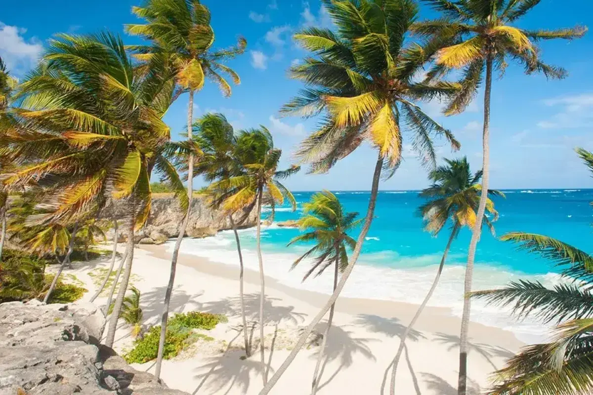 Rajskie plaże, palmy i turkusowe morze – idealne Barbados wakacje.