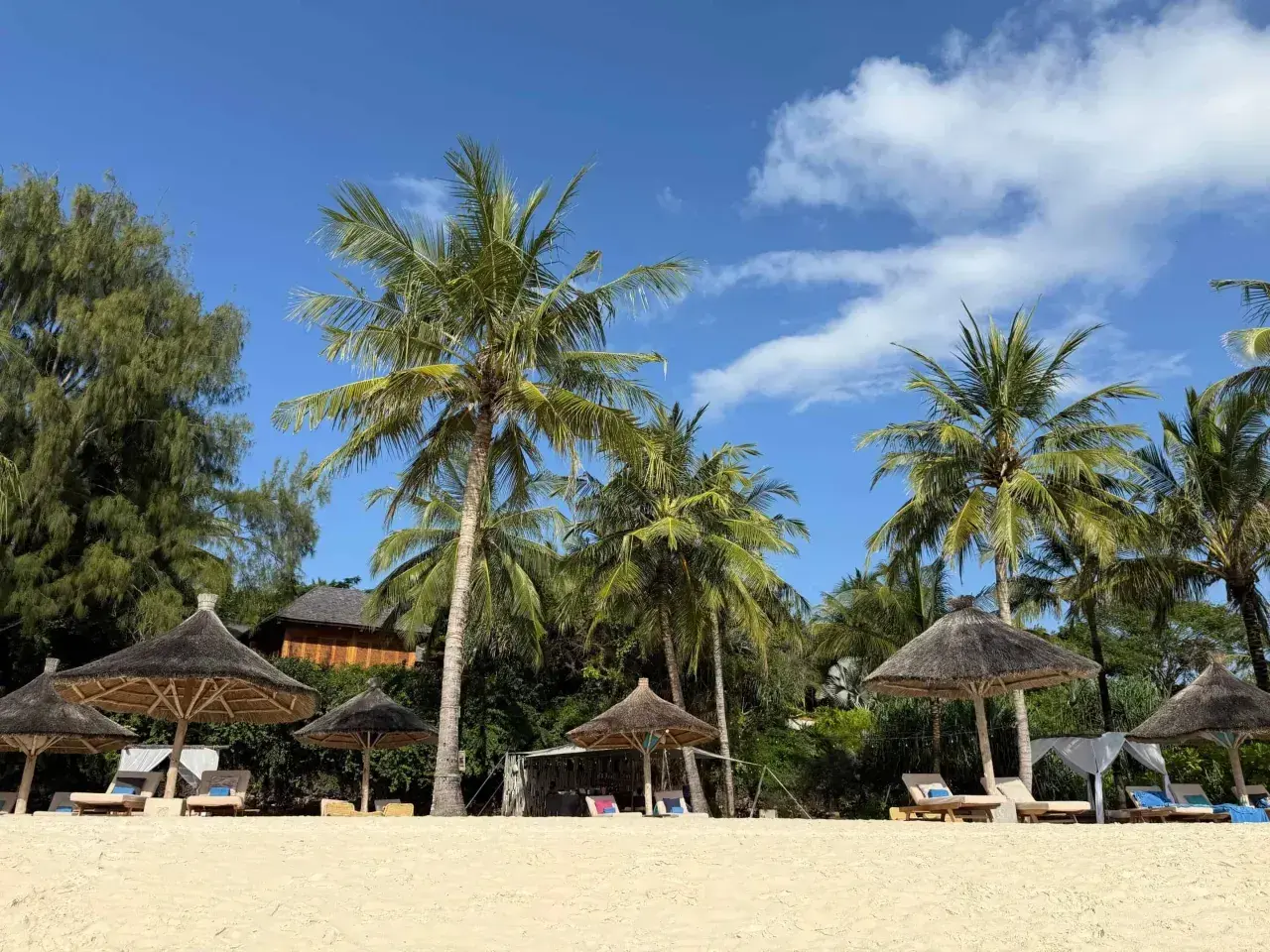 Rajskie plaże Zanzibaru: palmy, leżaki i słońce. Idealne miejsce na wymarzone wakacje. Wiza zanzibar czeka!