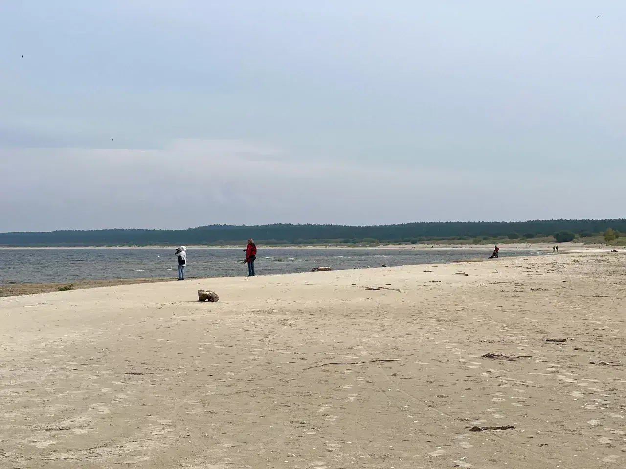 Spacer po piaszczystej plaży na Żuławach Wiślanych. W oddali widać las i morze.