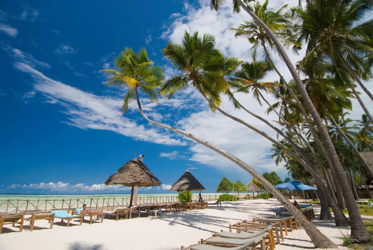 Rajska plaża z palmami, leżakami i strzechami. Idealne miejsce na relaks, zastanawiasz się, ile się leci na Zanzibar?