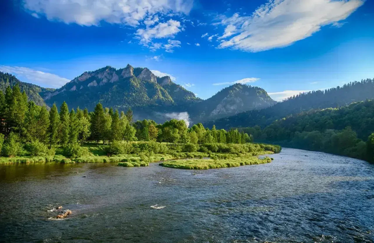 Malowniczy widok na Dunajec w Pieninach, gdzie góry i lasy otaczają rzekę. To piękno, które można podziwiać, zapominając o zgiełku miast w Polsce.