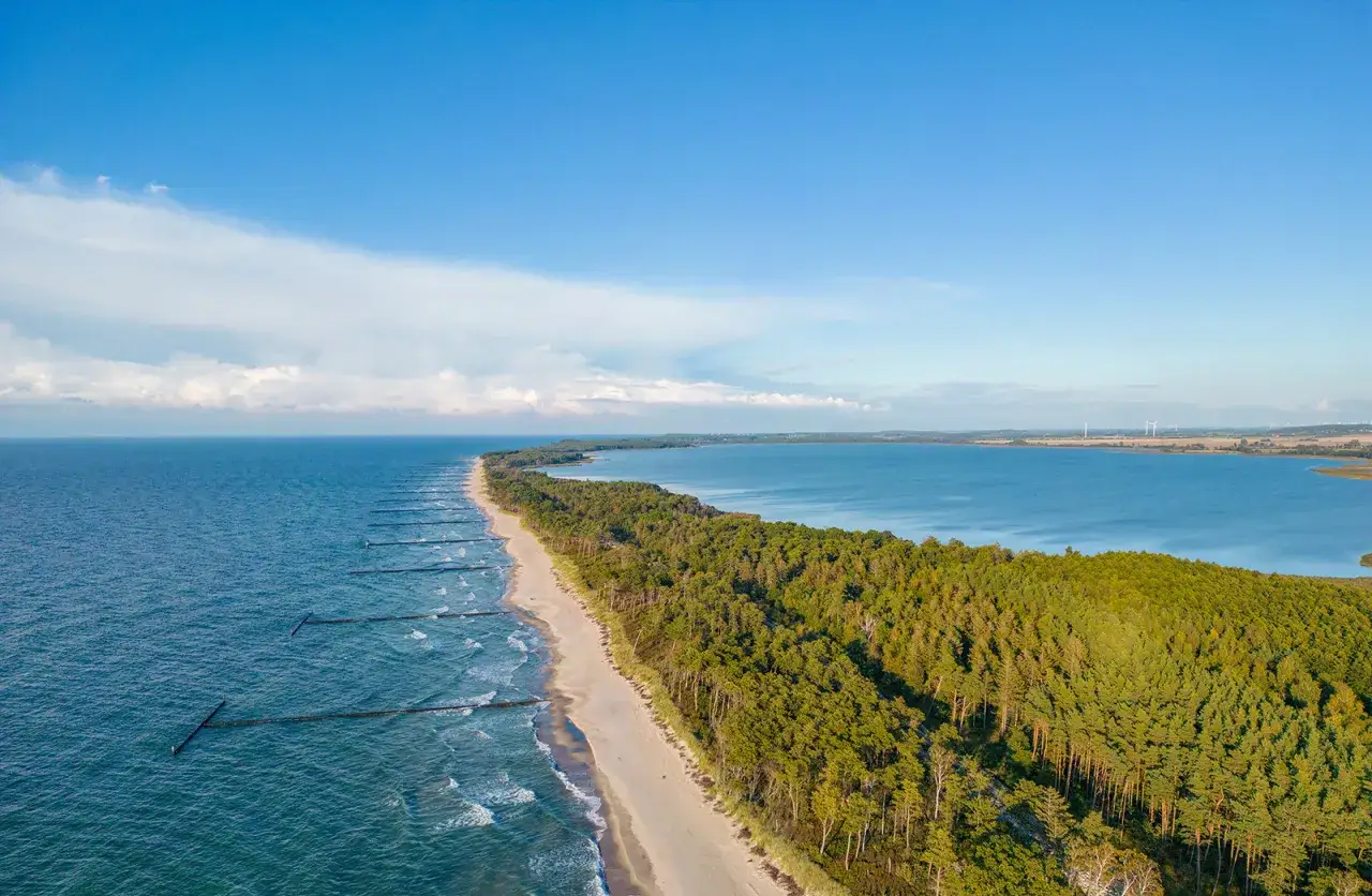 Piękna plaża z falochronami w morzu, otoczona lasem sosnowym. Dalej rozciąga się spokojna woda zatoki, a na horyzoncie widać wiatraki.