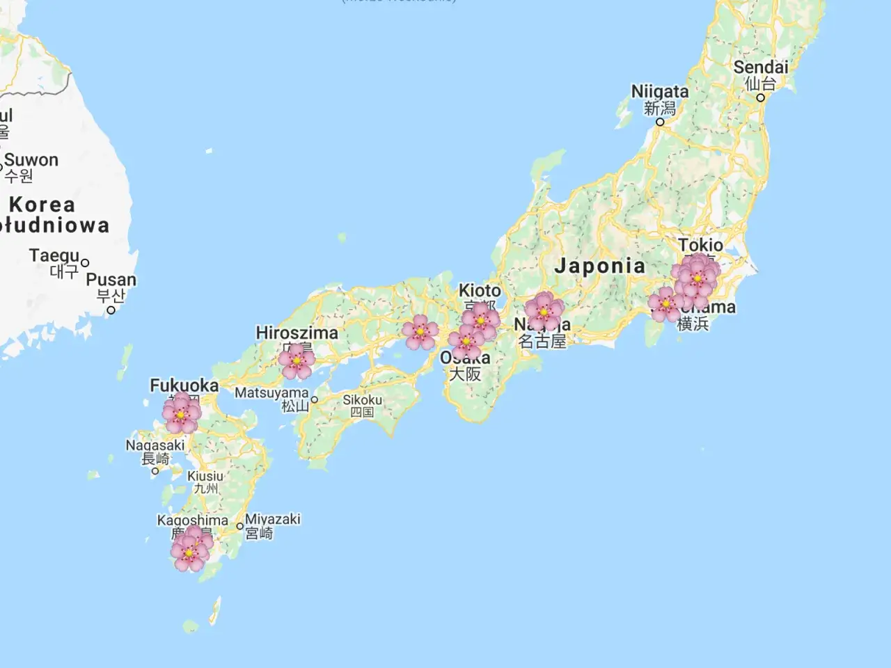 Mapa Japonii z zaznaczonymi miastami i kwiatami wiśni. Widoczne wyspy Japonii, w tym Kiusiu, Sikoku, Honsiu.