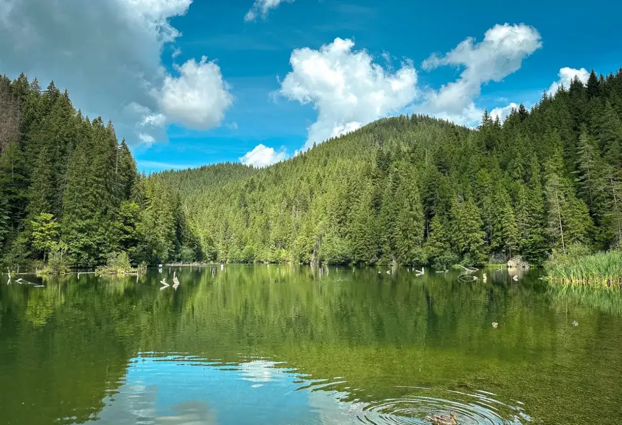 Jezioro w otoczeniu zielonych lasów, idealne miejsce na rumuńskie wakacje. Woda odbija chmury i drzewa.