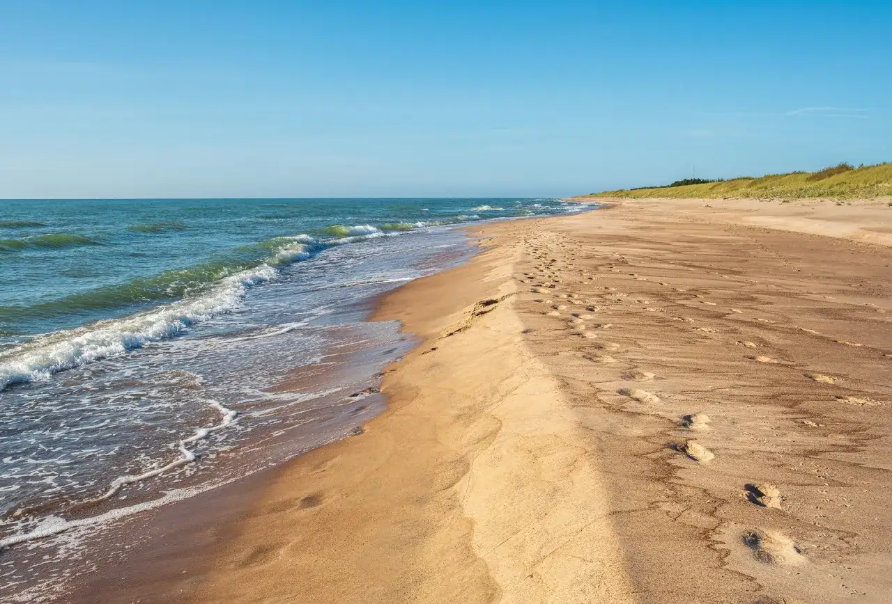 dzika plaża polskie morze
